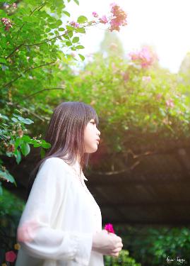 大地资源中文在线观看官网免费